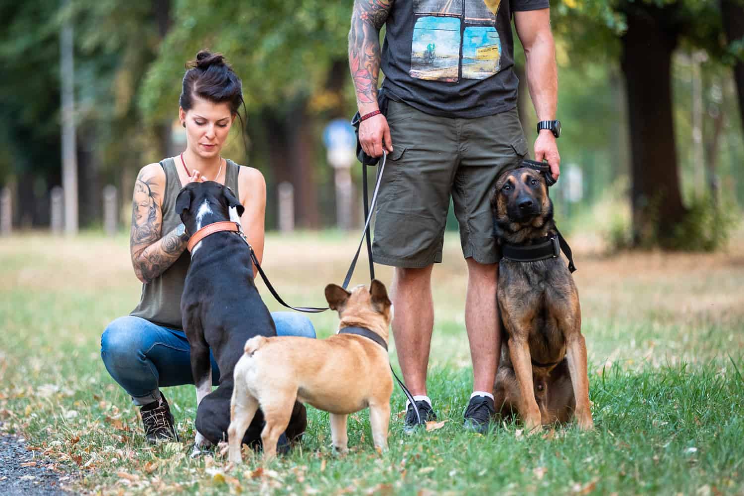 Der perfekte Hund. › Hundetrainerin Dresden