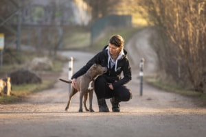 Nicole Hertel Hundetrainerin Dresden
