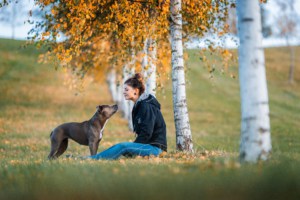 Kommunikation Mensch- Hund