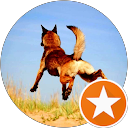 Robert Heintz profile picture